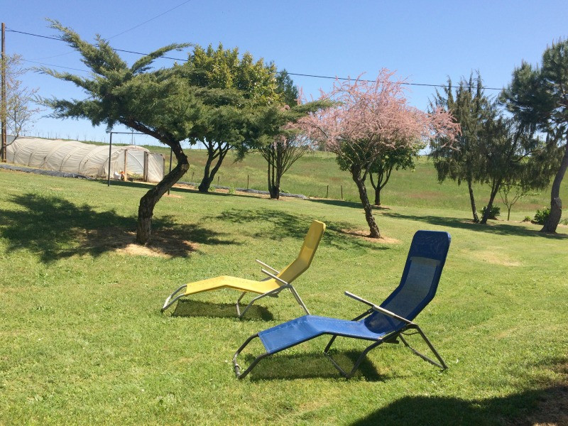 040043 - Lapervoisie1_gite 4 pers_avec_piscine_a_partager_proche sarlat 15)